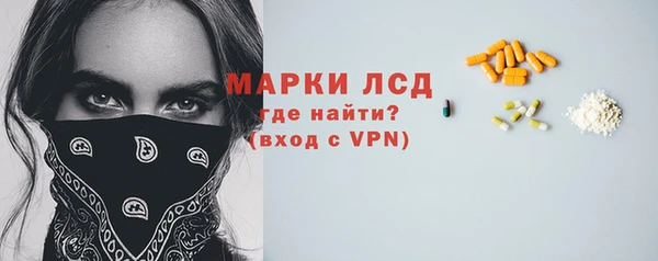 спиды Новодвинск