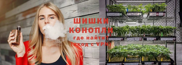 спиды Новодвинск