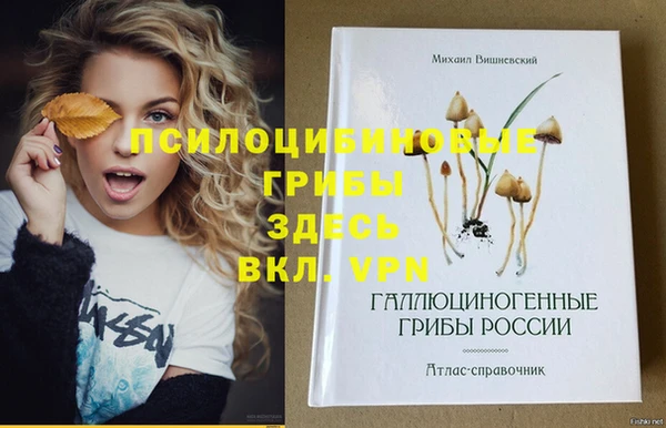 спиды Новодвинск