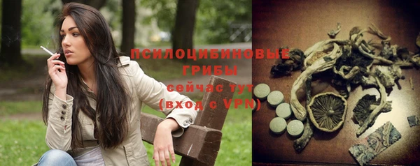 МДМА Новозыбков