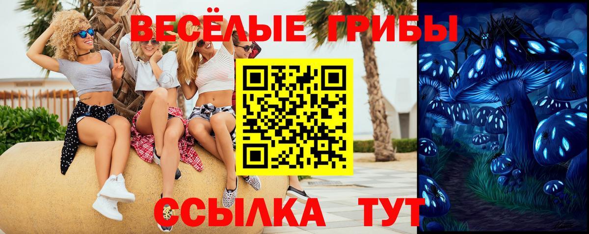 Псилоцибиновые грибы Cubensis  Псилоцибиновые грибы Cubensis  Ярцево 