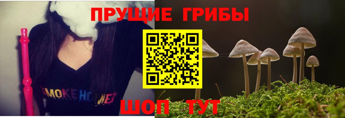 даркнет сайт  Псилоцибиновые грибы прущие грибы  Вход с VPN  Галлюциногенные грибы мицелий  Ярцево 
